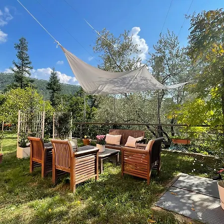 La Casa Nel Bosco - In Collina A 10 Minuti Dal Mare 公寓 *